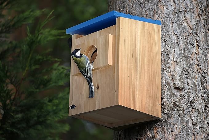 Spiretro Bird Houses Outside Finch Bluebird Cardinals, Weatherproof Cedar Wood Hanging Birdhouses Easy Cleaning, Air Vents, Fledgling Skerfs for Garden Cottages_Beige & Blue