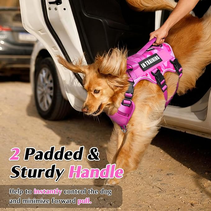 Escape Proof Dog Harness with Double Handle+4 Removable Patches | Service Working Molle Harness with Double Handle for Medium Dogs, Tactical Pet Reflective Vest for Walking Hiking Hunting