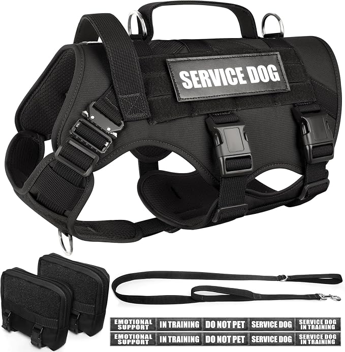 Tactical Dog Harness with Dog Leash, Service Working MOLLE Vest with 10 Pet Patches for Medium Dog, No Pull Military Harness and Backpack for Training Hunting Walking
