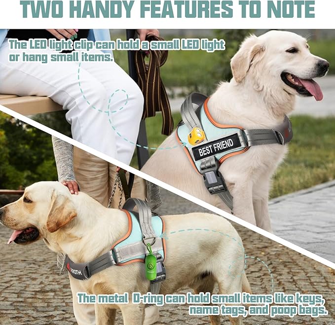 AUROTH Dog Harness and Leash Set Small Sized Dog, No Pull Escape Proof Vest | with Leash Clips, LED light clip, Breathable Mesh Padded No Choke, Easy Walking and Training, Macaron Blue, Small