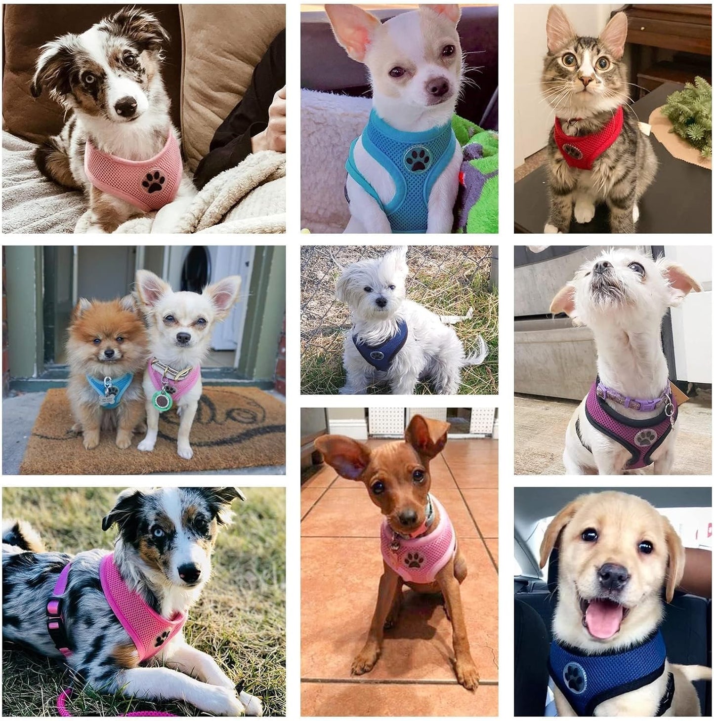 BINGPET No Pull Dog Harness Medium Sized,Breathable Mesh Puppy Cat Harnesses,Pink, M