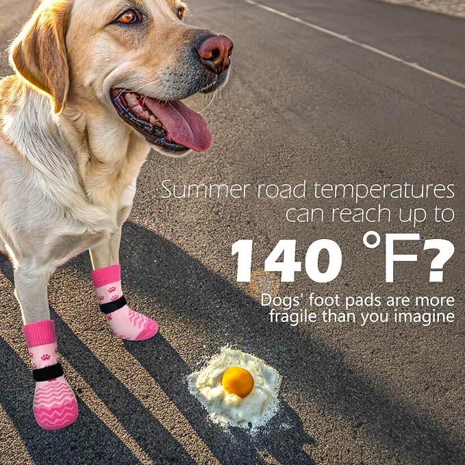 EXPAWLORER 6Pcs Anti Slip Dog Socks to Prevent Licking Paws, Dog Shoes for Hot Pavement Double Sides Dog Boots & Paw Protectors Booties for Hardwood Floors with Grip Small Medium Large Senior Dogs, M