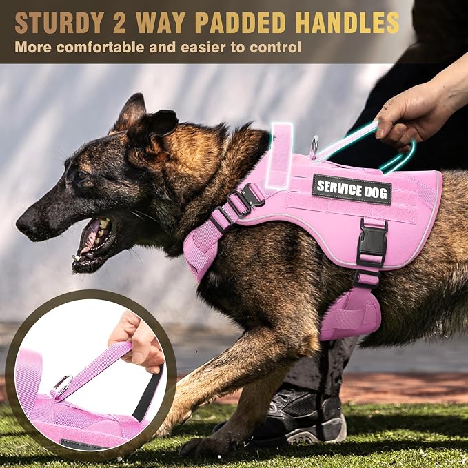 2X Metal Buckle Service Working MOLLE Dog Vest with 10 Pet Patches | Tactical Dog Harness for Medium Dog, No-pull Military Working Vest for Training Hunting Walking，2x D Rings for Leash Clip
