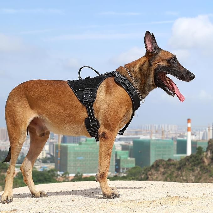 ICEFANG Quick-Moving Tactical Dog Harness X-Large Dogs,No Pull Dog Vest | Control Handle,Reflective,Full Metal Buckles,Adjustable,Hook-and-Loop Panel,Soft Padded,Black,X-Large
