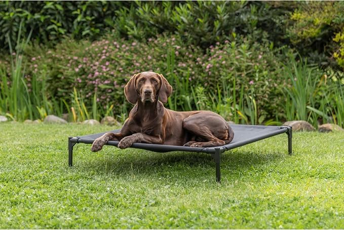 Trixie 2-in-1 Dog House and Bed, Medium to Large - Up to 100 lbs | 39.4 x 35.4 x 48.8-in Portable, Elevated Indoor/Outdoor Cot with Removable Cover, Waterproof and Sun-Resistant Tent