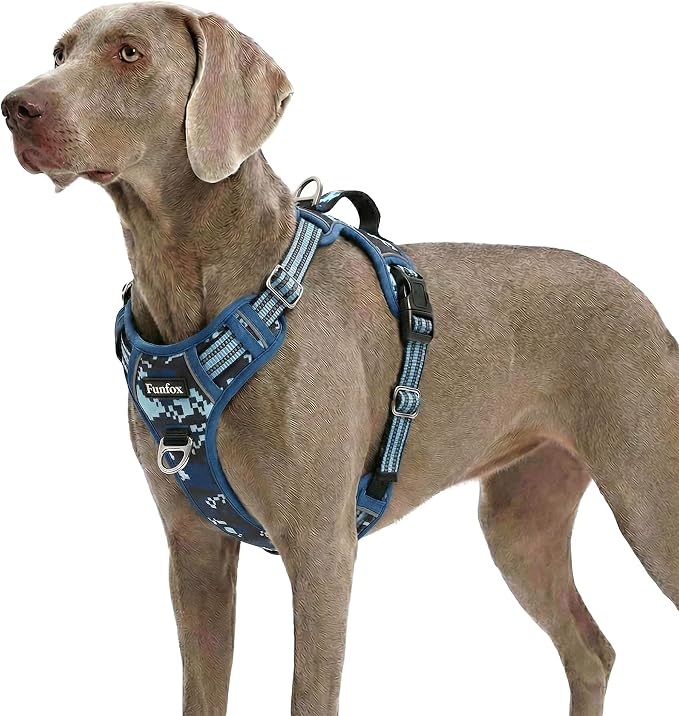 Dog Harness No Pull, Adjustable Pet Vest Harness, Super Soft Material with Vertical Handle Easy Control, Reflective Night Walking, 2 Leash Clips for XLarge Dogs, Mosaic Blue, XL