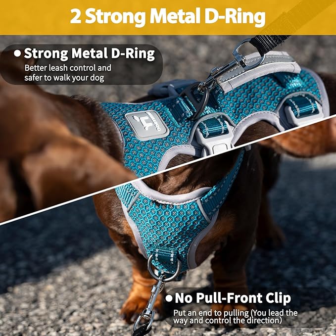 No Escape Dog Harness, Escape Proof Harness, Fully Reflective Harness with Padded Handle, Breathable, Durable, Adjustable Vest for Medium Dogs Walking, Training, and Running Gear (Teal,M)