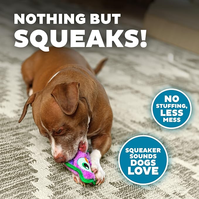 Outward Hound Durablez Minis – Squeaky Plush Dog Toy, No Stuffing for Less Mess, Interactive & Tough, Jumbo Squeaker, Puppies & Small Dogs, Owl, 5.8", (Pack of 2)