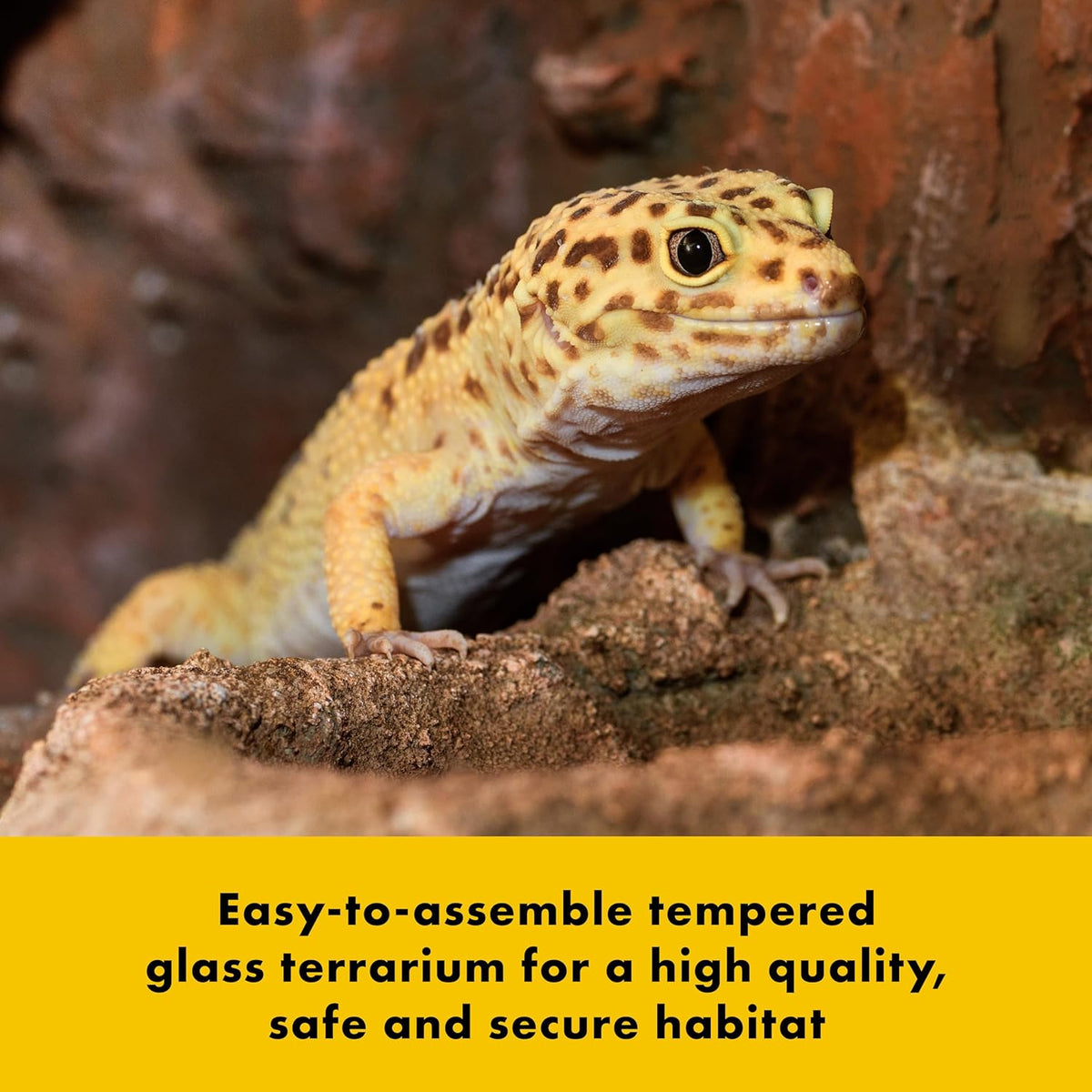Zilla QuickBuild Reptile 10 Gallon Glass Terrarium Habitat with Bedding Tray For Geckos, Snakes, Lizards, Frogs, Turtles, and Tortoises, 20" x 12" x 10"
