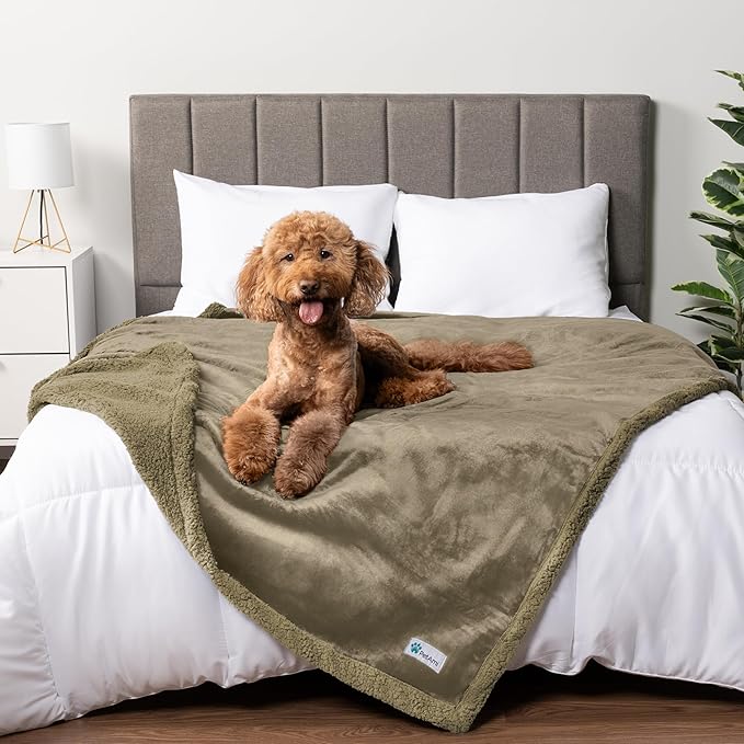 PetAmi Waterproof Dog Blanket for Medium Large XL Dog Puppy Cat Throw for Couch Cover Leakproof Protection, Sherpa Fleece, Reversible Soft Washable 80x60 Taupe Taupe