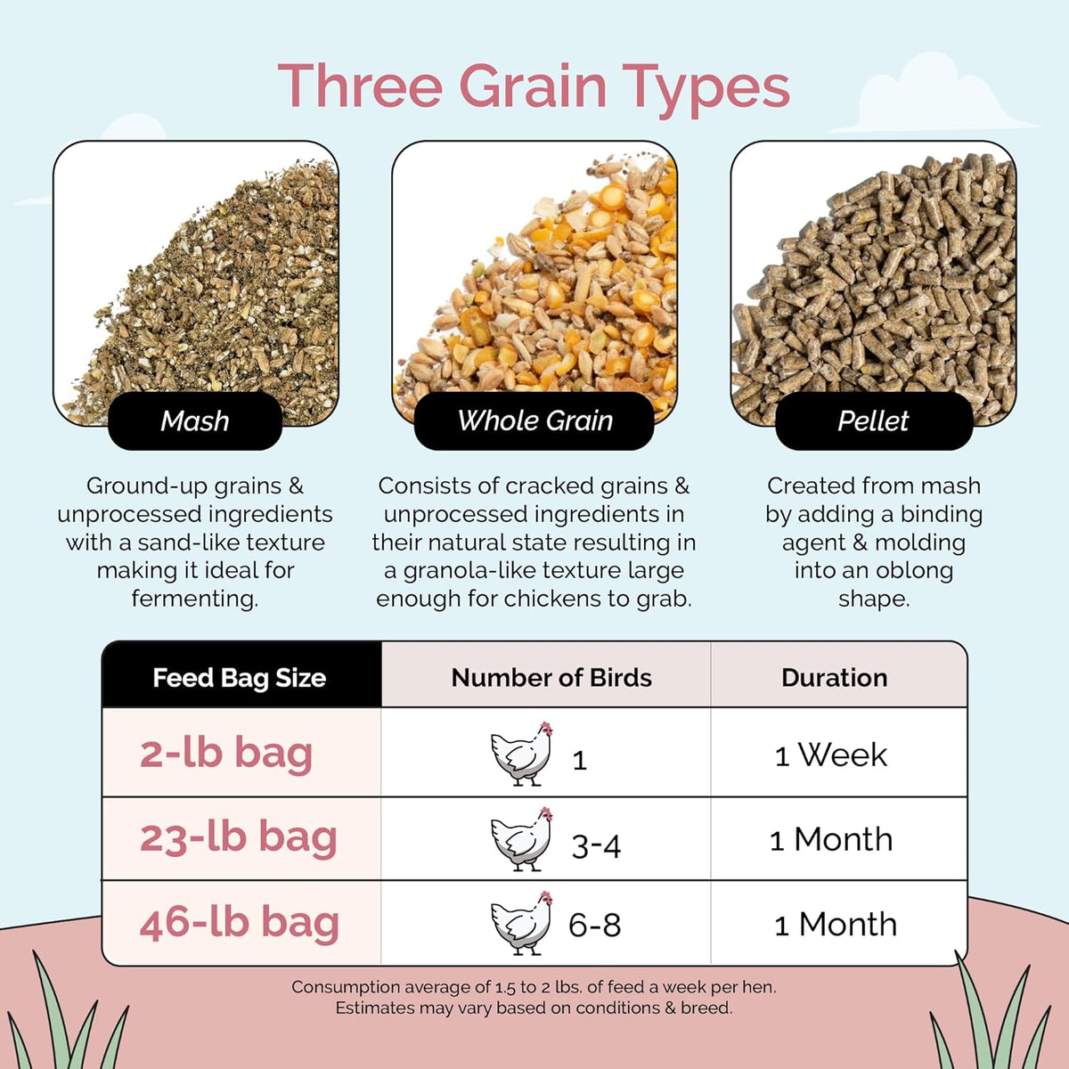 Organic Chicken Feed – Layer Mash, Non-GMO, USA Grown, 16% Protein, Corn-Free, Soy-Free, Non-Medicated Feed for Chickens, 2 lbs Sample