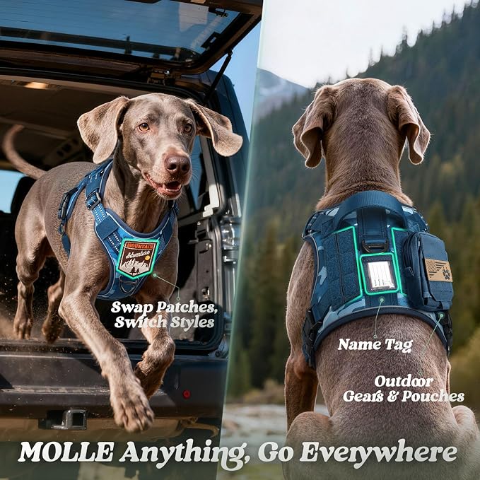 rabbitgoo Tactical Dog Harness for Large Dogs, No Pull Service Pet Vest | Military Molle System & Easy Control Handle, Adjustable and Reflective for Walking and Training, Blue Camo, X-Large