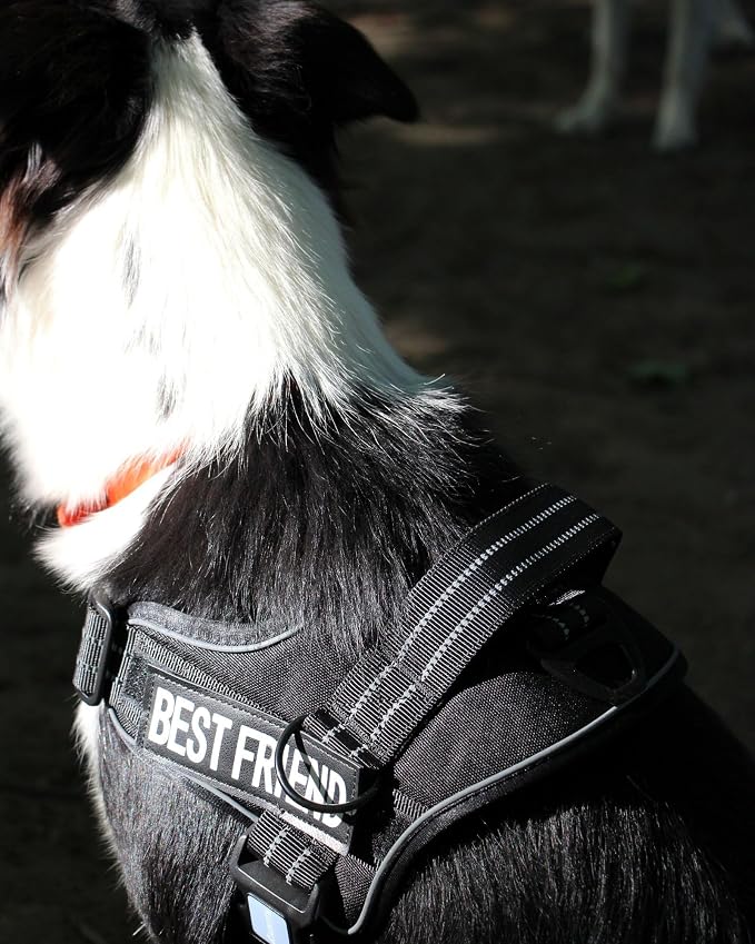 AUROTH Dog Harness for Large Dogs No Pull Tactical Harness and Leash Set | with Leash Clips, LED light clip, Breathable Mesh Padded No Choke, Easy Walking and Training, Black, Large