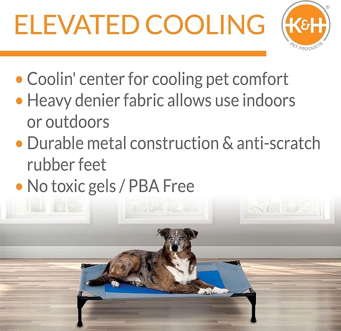 K&H Pet Products Coolin' Pet Cot Elevated Pet Bed Gray/Blue Large 42 X 30 X 7 Inches