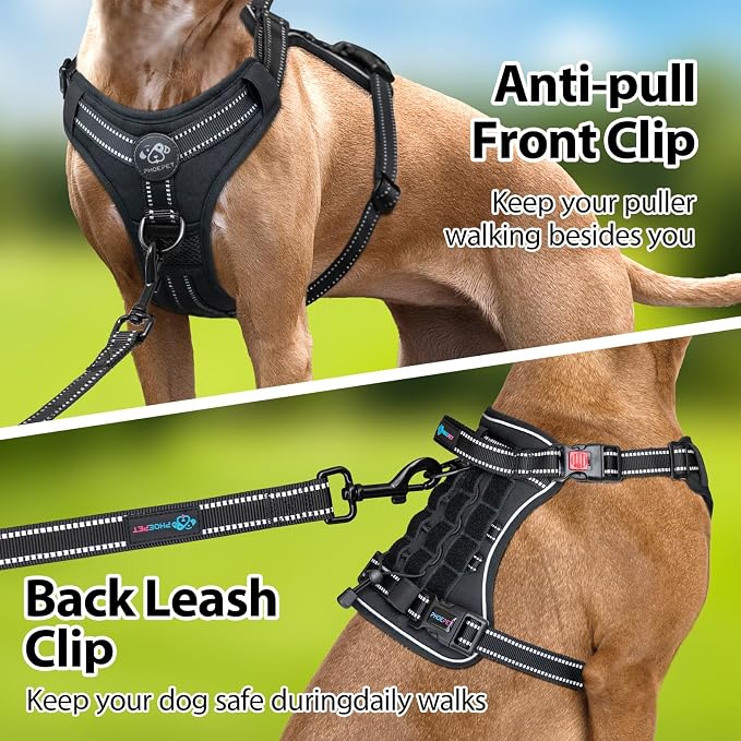 No Pull Tactical Dog Harness,Service Dog Vest Molle & Loop Panels | Black M, Metal Front & Back D-ring, Reflective, Easy Control with Padded Handle for Small Medium Large Dogs