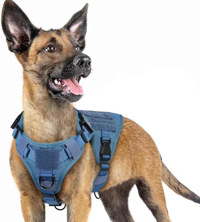 rabbitgoo Tactical Dog Harness for Small, Heavy Duty Military No Pull Vest | Sturdy Metal Buckles, 5 Adjustments, Molle System, Powerful Pullers for Training, Hunting, Outdoor, Blue, Small
