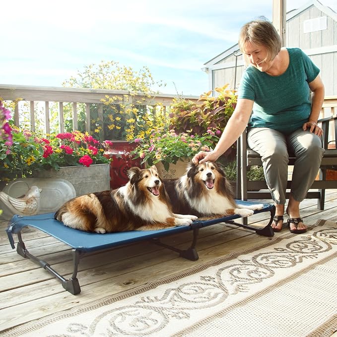 Upgraded Non-Slip Daisy Cot, XL Foldable Elevated Dog Bed, Portable Raised Outdoor Folding Dog Cot for Camping/Home, Chew Proof Waterproof Heavy Duty Up to 160 Lbs, Dark Blue, 49"x33"
