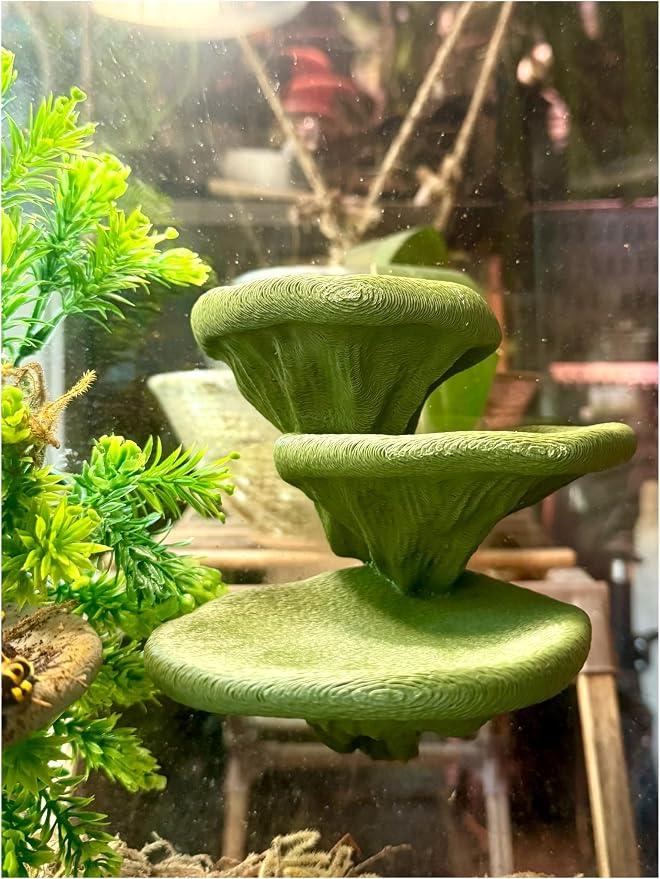 Mushroom Ledge for Terrarium – Climbing & Resting Shelf with Suction Cups (Dark Green, 6''x4.5''x5.25'')