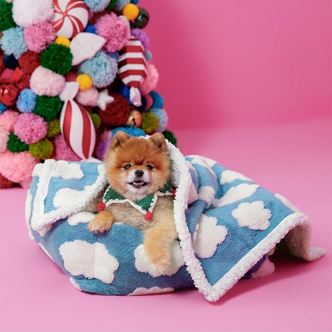 LE SURE Waterproof Dog Blankets for Small Dogs Cute Cozy 3D Jacquard,25x35 | Puppy Blanket for Cat Aesthetic Gift, Warm Soft Sherpa Throw Washable, Reversible Pet Couch Protector, Clouds Blue