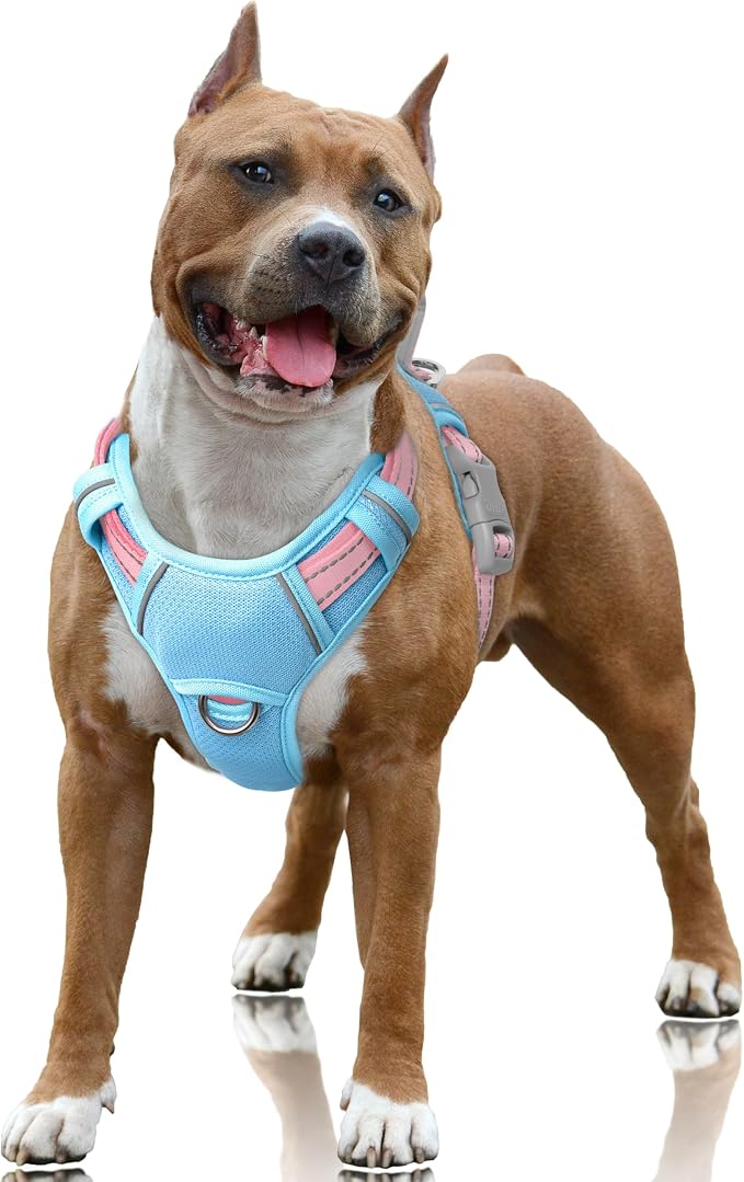 BARKBAY No Pull Dog Harness Large Reflective Dog Harness with Front Clip and Easy Control Handle for Walking Training Running with ID tag Pocket(Baby Blue & Baby Pink,L)