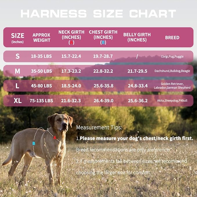 Dog Harness, Tactical No Pull for Small Sized Dog with Handle | Breathable Soft Padded, Adjustable, Reflective, Molle System, Heavy Duty, No Choke for Walking Training, Pink Small