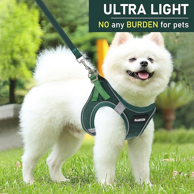 GAMUDA Small Pet Harness Collar and Leash Set, Step in No Chock No Pull Linen Fabric Soft Mesh Dog Vest Harnesses Reflective for Dogs Puppy Cats Kitten Rabbit (Green, XL)