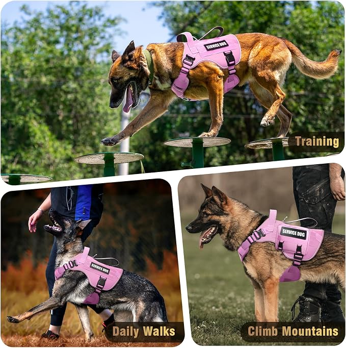 2X Metal Buckle Service Working MOLLE Dog Vest with 10 Pet Patches | Tactical Dog Harness for Large Dog, No-pull Military Working Vest for Training Hunting Walking，2x D Rings for Leash Clip