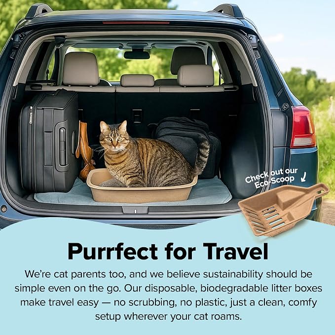 Kitty Sift Disposable Cat Litter Box Jumbo, 6 Count, Durable and Portable for Travel and Home, Eco-Friendly Disposable Litter Box Controls Odor