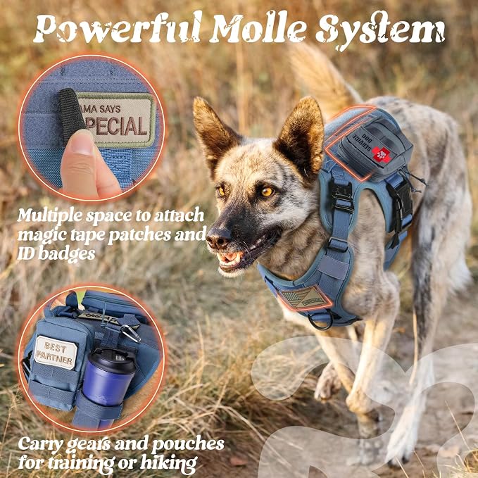 rabbitgoo Tactical Dog Harness for Medium, Heavy Duty Military No Pull Vest | Sturdy Metal Buckles, 5 Adjustments, Molle System, Powerful Pullers for Training, Hunting, Outdoor, Blue, Medium