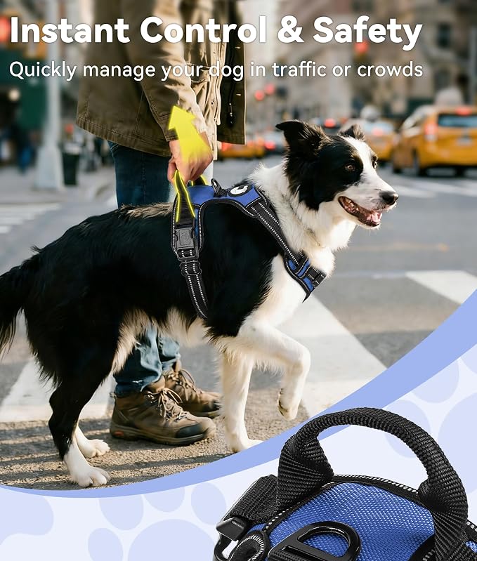 Joytale No Pull Dog Harness Medium Sized Dog, Front Clip, Navy Blue | Grab Handle for Instant Control, Padded & Adjustable Vest, Sturdy Metal D-Rings, for Safe Training & Daily Walking