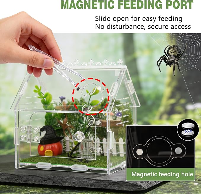 Acrylic Jumping Spider Enclosure Magnetic Lock Terrarium | Clear Acrylic Viewing, Dual Vents, Sloped Roof, 5.9x3.9x5.1", Tool-Free Assembly