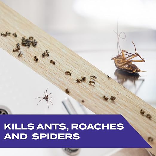 Stem Kills Ants, Roaches and Spiders: Plant-Based Active Ingredient Bug Spray, Botanical Insecticide for Indoor and Outdoor Use; 10 fl oz (Pack of 2)