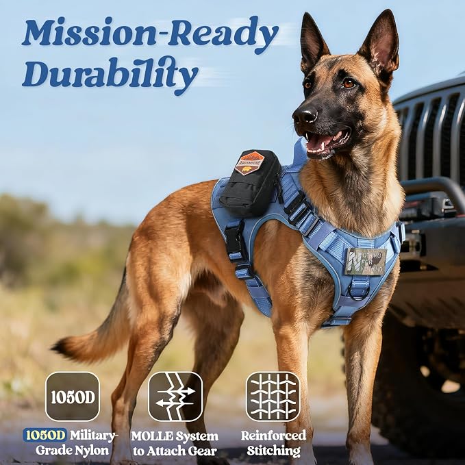 rabbitgoo Tactical Dog Harness X-Large, Heavy Duty Military No Pull Vest | Sturdy Metal Buckles, 5 Adjustments, Molle System, Powerful Pullers for Training, Hunting, Outdoor, Blue Reflex, X-Large
