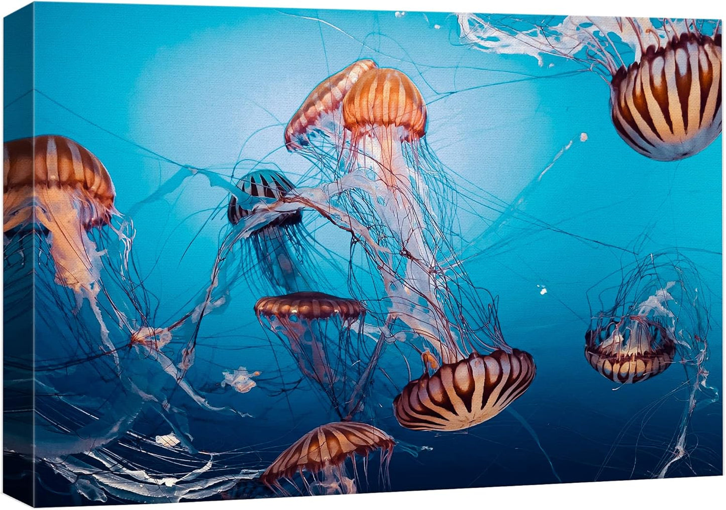 wall26 Canvas Print Wall Art Tiger Stripe Jellyfish Underwater Ocean Sea Nature Animals Photography Realism Rustic Scenic Landscape Wilderness Colorful for Living Room, Bedroom, Office - 16"x24"