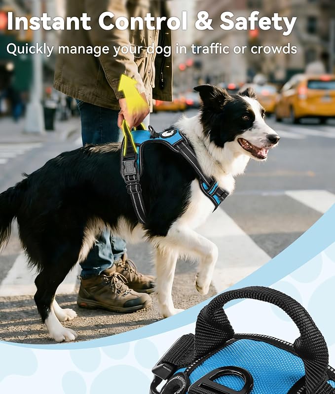 Joytale No Pull Dog Harness Medium Sized Dog, Front Clip, Sky Blue | Grab Handle for Instant Control, Padded & Adjustable Vest, Sturdy Metal D-Rings, for Safe Training & Daily Walking