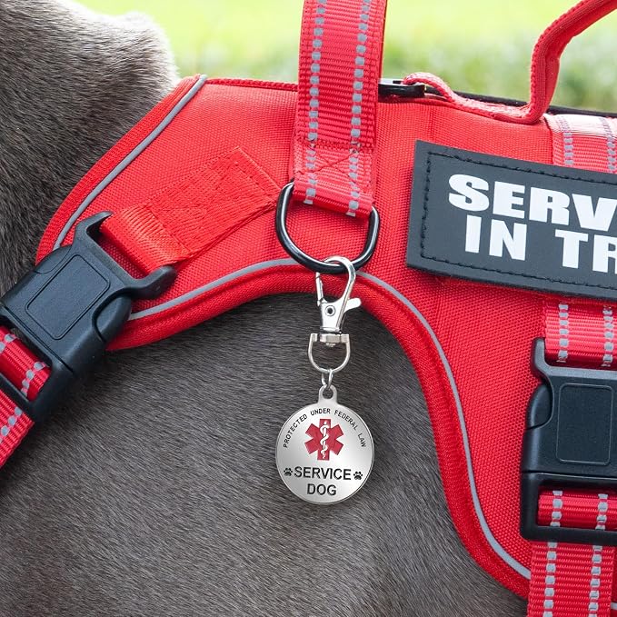 Service Dog Harness + ID Tag 50 ADA Information Cards - No Pull Dog Vest 10 PCS Removable Patches - Reflective Emotional Support Pet Vest for Extra-Large Dogs - Adjustable Breathable ESA Training Vest