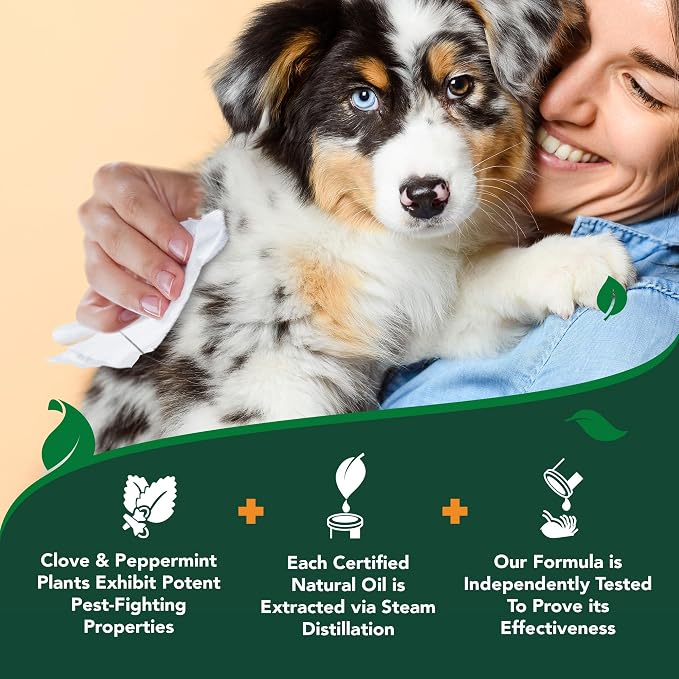 Vet’s Best Natural Flea and Tick Wipes for Dogs, Plant-Based Wipes for Flea and Tick Prevention Certified Essential Oils, Pest Control for Kennels and Home Use, Made in USA, 50 Count