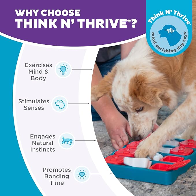Outward Hound by Nina Ottosson Dog Brick – Interactive Treat Puzzle Enrichment Toy, Level 2 Intermediate (Pack of 12)