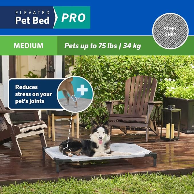 Coolaroo Pro Elevated Dog Bed - Low-Profile Access, Moisture-Resistant Cover, Breathable Fabric & Tool-Free Setup, Steel Gray, Medium