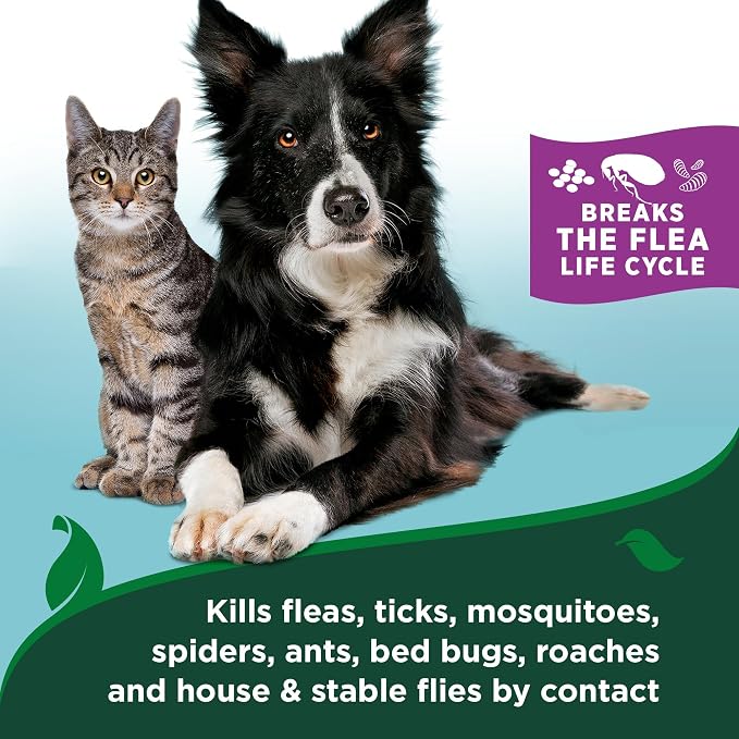 Vet's Best Natural Flea & Tick Mist for Cats – Plant-Powered Spray with Cotton Spice Scent – Natural Flea Prevention and Pest Control – Gentle Formula for Indoor Use – Safe for Pets – 6.3 oz
