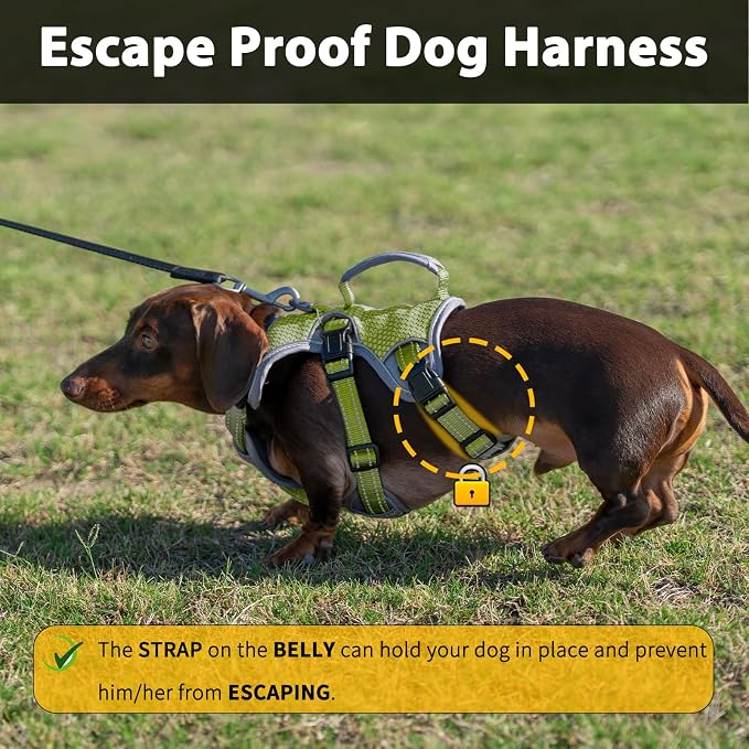 Escape Proof Dog Harness, Dachshund Harness, Reflective Dog Harness with Handle, Durable,Adjustable Vest for Small Medium Large Dogs Walking, Training, and Running Gear (Green,S)