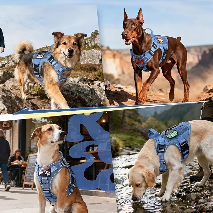 rabbitgoo Tactical Dog Harness for Small, Heavy Duty Military No Pull Vest | Sturdy Metal Buckles, 5 Adjustments, Molle System, Powerful Pullers for Training, Hunting, Outdoor, Blue Reflex, Small