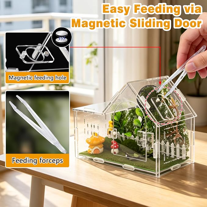Acrylic Jumping Spider Enclosure Kit 16PCS with Decor | 16-pc mossy forest decor with mushrooms, stones, hideout, for mantis & tarantula