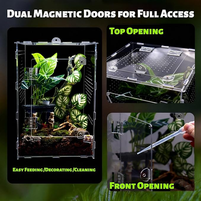 Large Jumping Spider Enclosure, Acrylic Ventilated Terrarium with Magnetic Front and Top Doors, 8.5x8.5x12 Inch, Transparent, Lockable (Large Size)