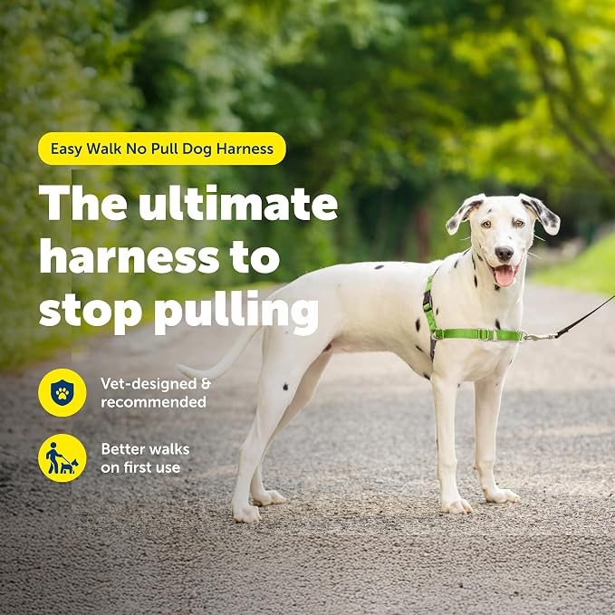 PetSafe Easy Walk Harness, No Pull Dog Harness, Apple Green, Medium/Large | Patented Martingale Loop Gives Gradual Shoulder Pressure to Stop Pulling, Front-Chest Leash Clip Prevents Gagging