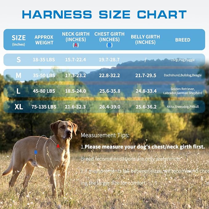 Dog Harness Medium Sized Dog, No Pull Dog Vest with Molle System | Tactical, Easy Control With Handle, Breathable Soft Padded, Adjustable, Reflective, No Choke for Walking, Blue Medium