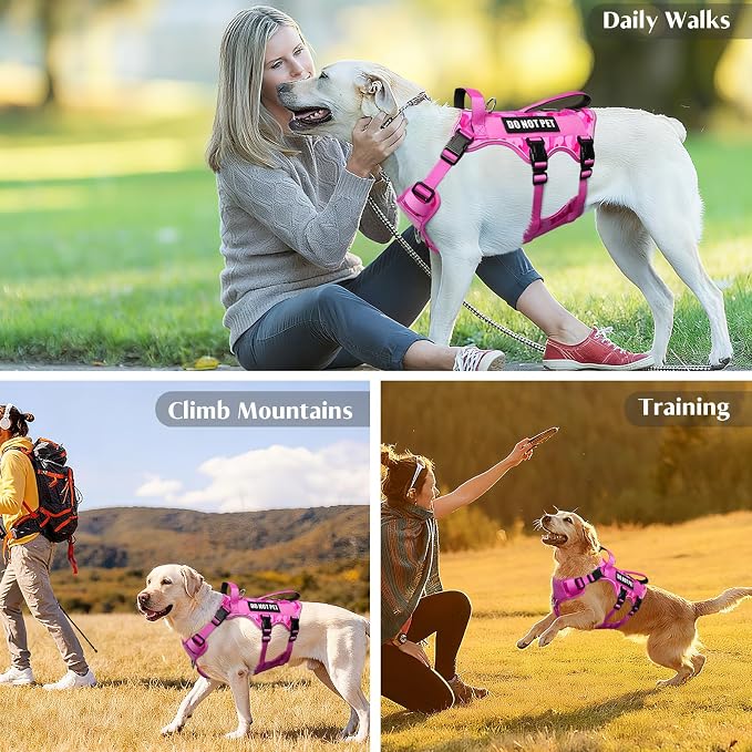 Escape Proof Dog Harness with Double Handle+4 Removable Patches | Service Working Molle Harness with Double Handle for Small Dogs, Tactical Pet Reflective Vest for Walking Hiking Hunting