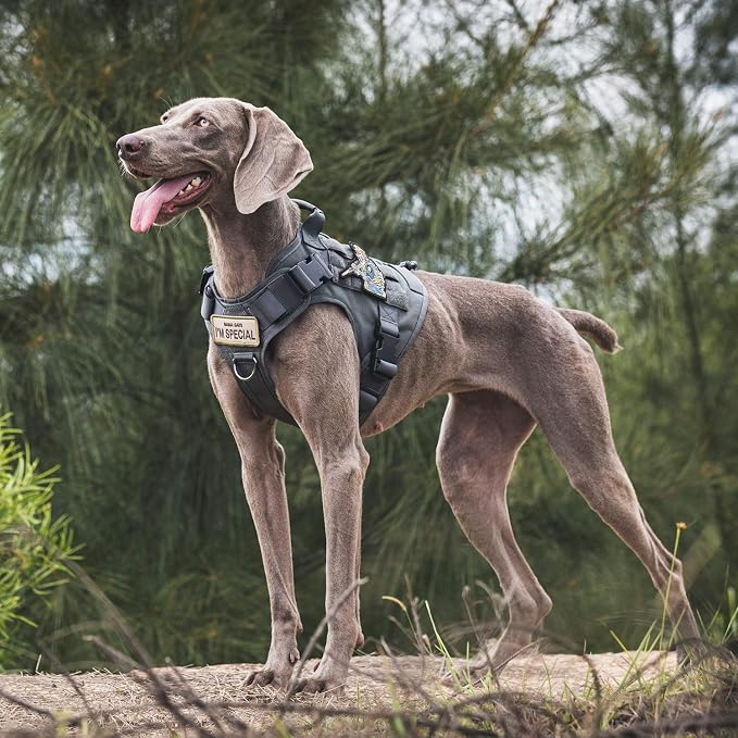 OneTigris Tactical Dog Harness Vest No-Pull Service Dog Vest for Large Dogs | 1000D Pullable Nylon, with Control Handle and Hook & Loop Panels, Easy On & Off, Adjustable for Walking Training Gray L