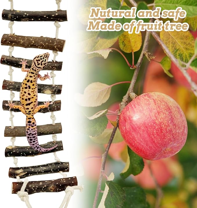 VCEPJH 2pcs Reptile Bridge Leopard Gecko Climbing Ladder Wooden Basking Lounger Reptile Tank Accessories for Hermit Crab Juvenile Bearded Dragon Chameleon Small Lizard (Fruit Wood)