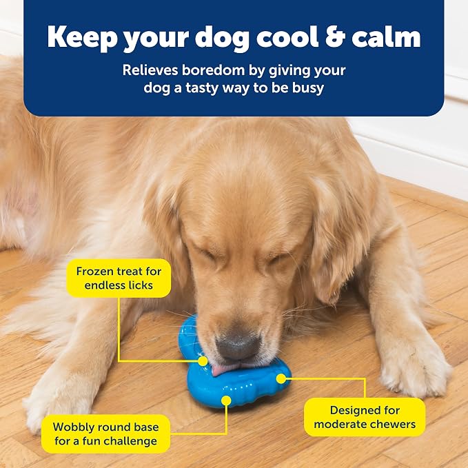 PetSafe Chilly Penguin-Freezable Dog Toy for Small Dogs-Fill and Freeze-Frozen Dog Toy to Fill with Treats-French Vanilla Scented-Interactive Pet Puzzle for Boredom or Separation Anxiety,(Pack of 2)